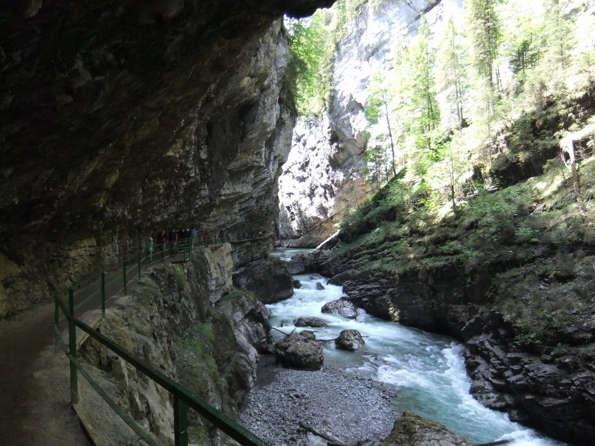 DSCF1482.JPG