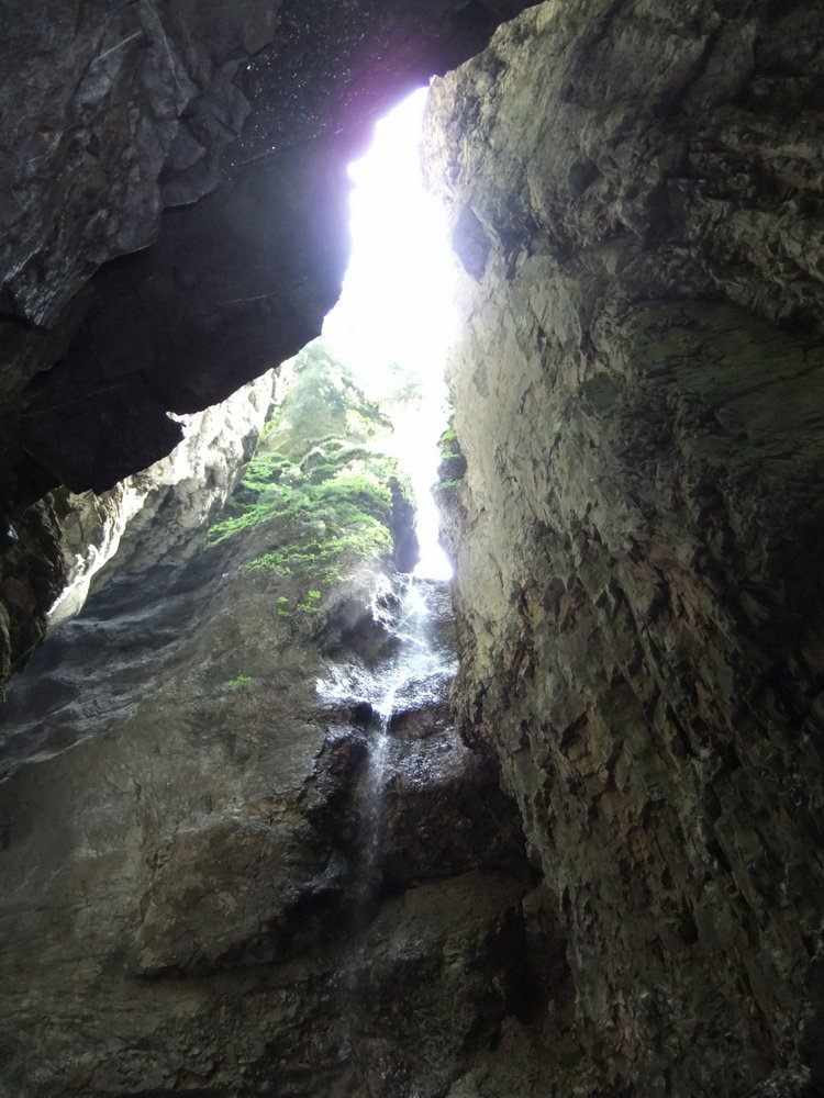DSCF1508.JPG
