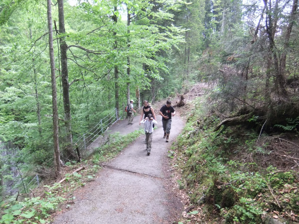 DSCF1532.JPG