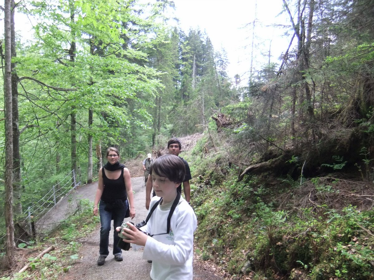 DSCF1533.JPG