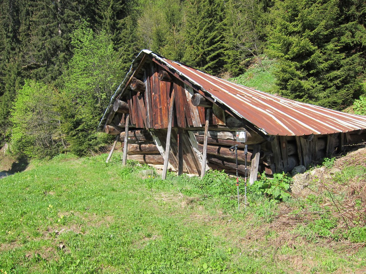 IMG_0311.JPG