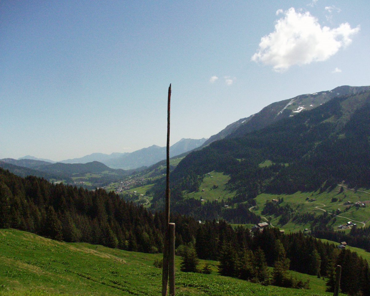P5260026.JPG