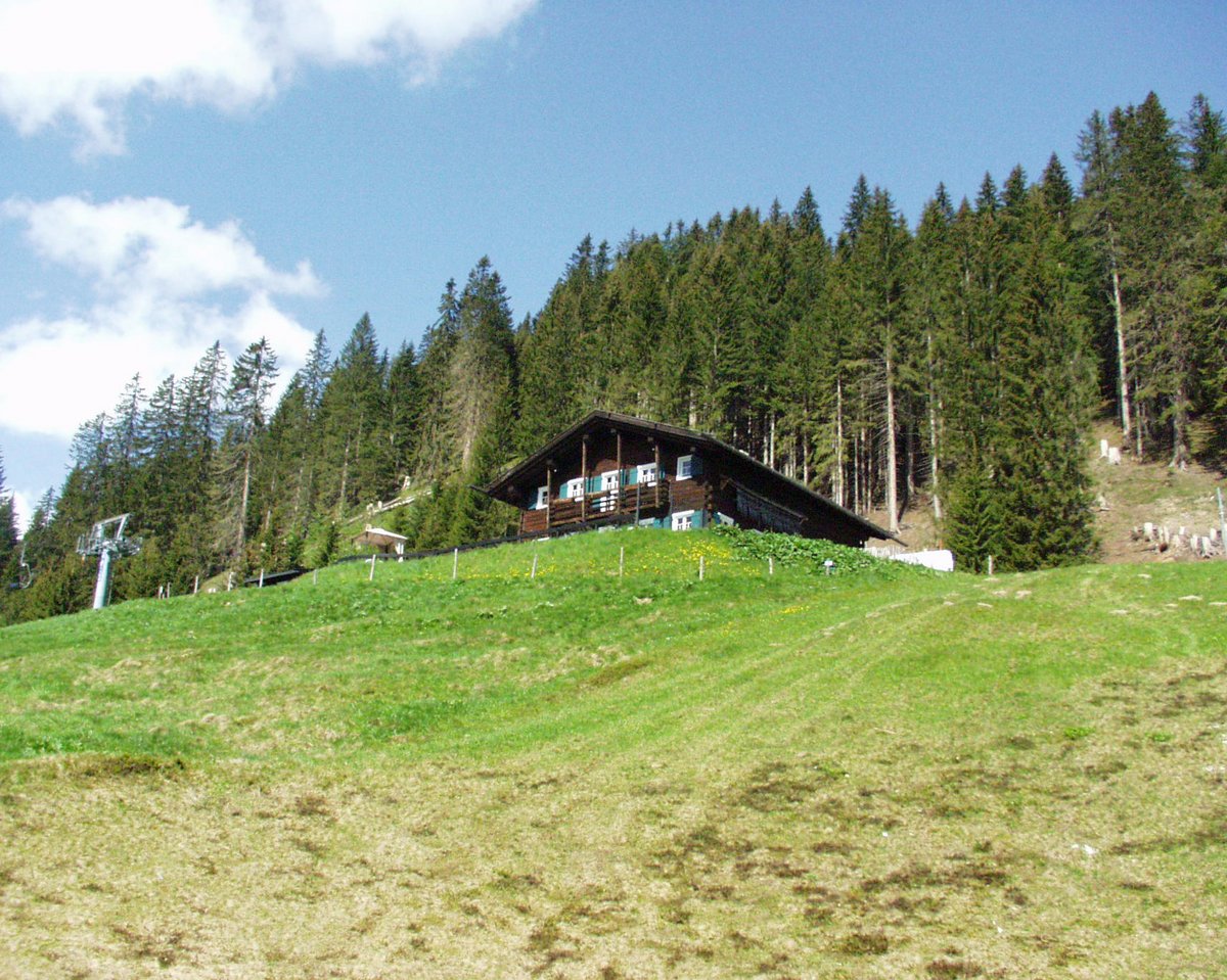 P5260037.JPG