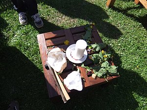 DSCF1467.JPG