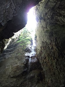 DSCF1508.JPG