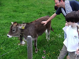 DSCF1522.JPG