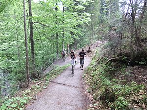 DSCF1532.JPG