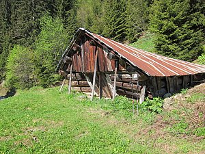 IMG_0311.JPG