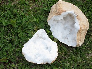 IMG_0320.JPG