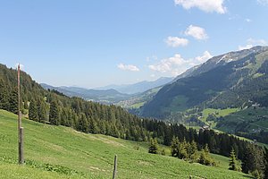 IMG_1986.JPG
