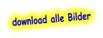download alle Bilder