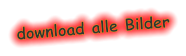 download alle Bilder